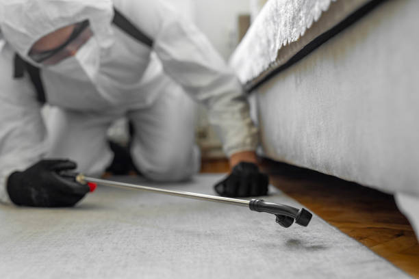 Professional Cockroach Control technician working in Walls, MS