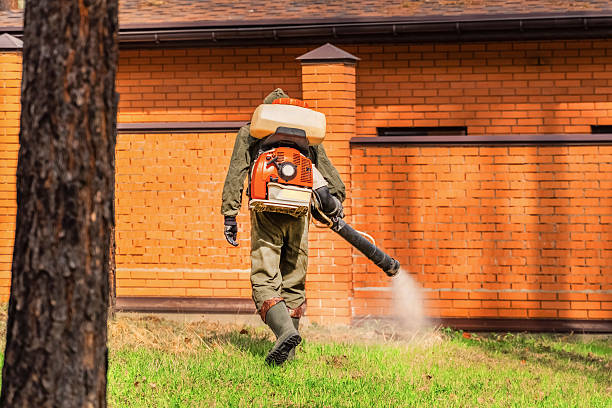 Trusted Cockroach Control service in Walls, MS - Nex Pest Control